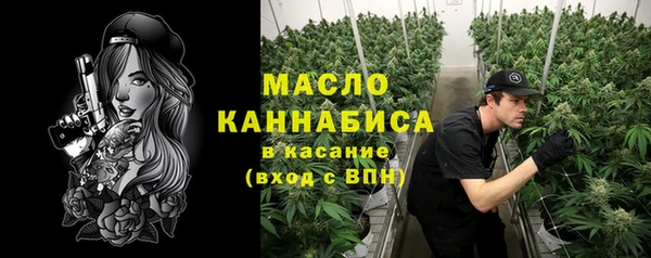 дмт Каменногорск