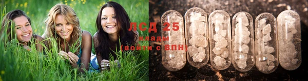 эйфоретик Каменка